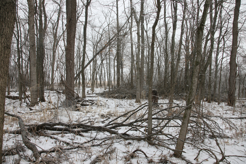 Full Size Image = 6929 K