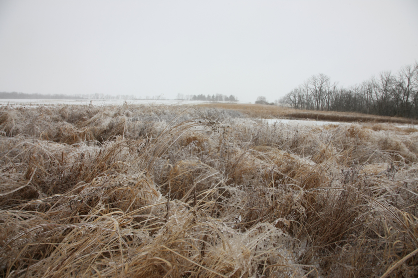 Full Size Image = 5316 K