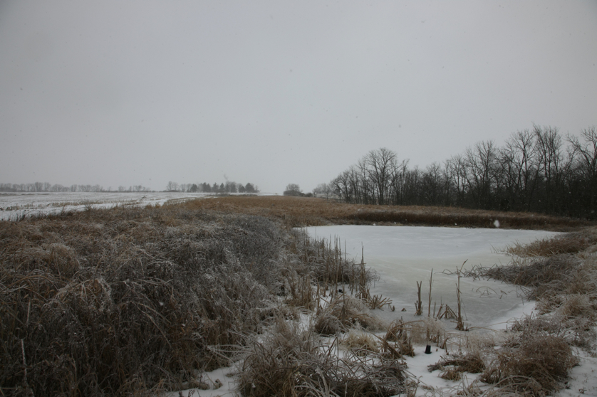 Full Size Image = 3954 K