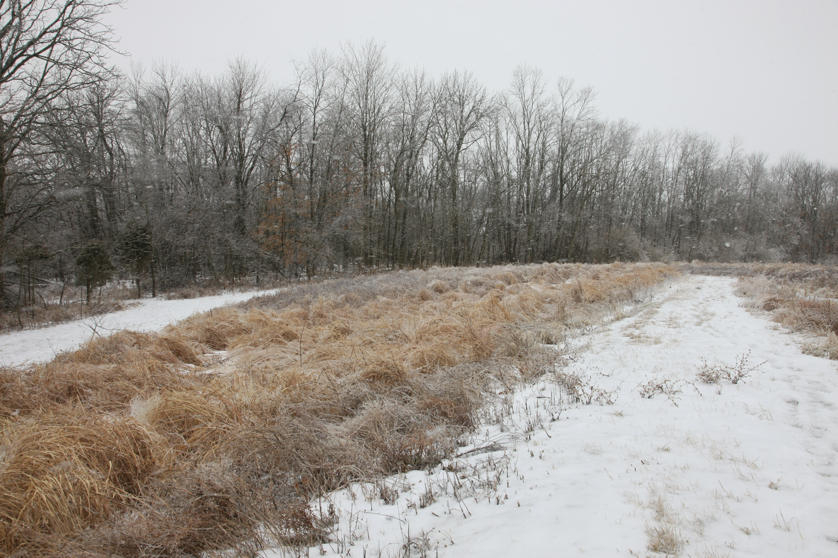 Full Size Image = 5448 K