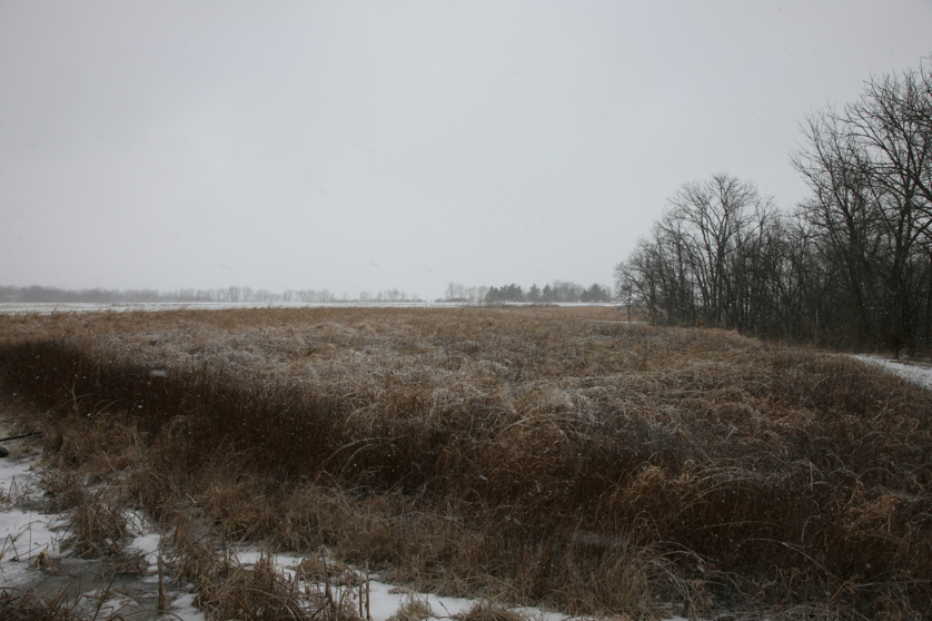 Full Size Image = 4255 K