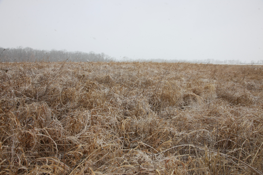 Full Size Image = 5479 K