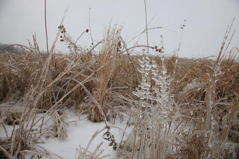 Full Size Image = 4218 K