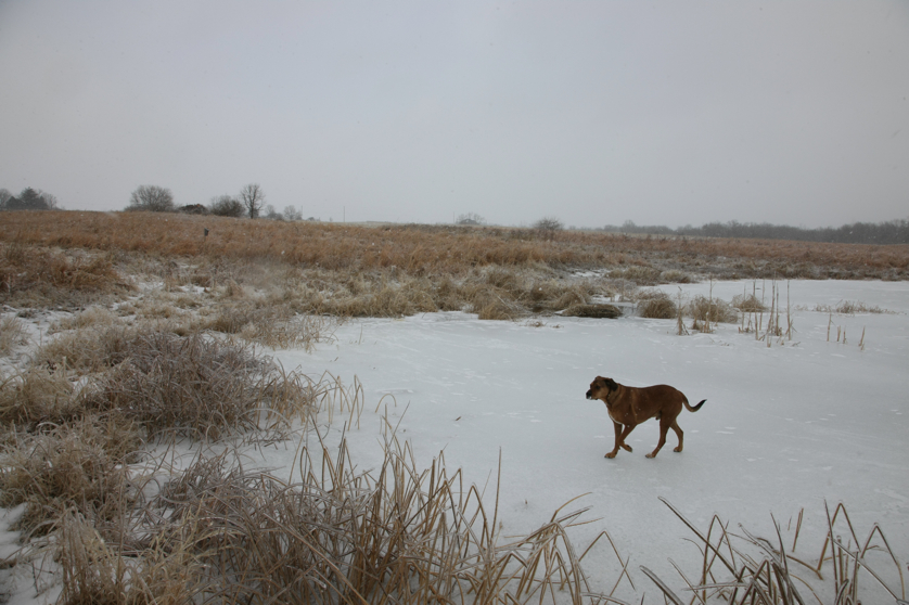 Full Size Image = 3757 K