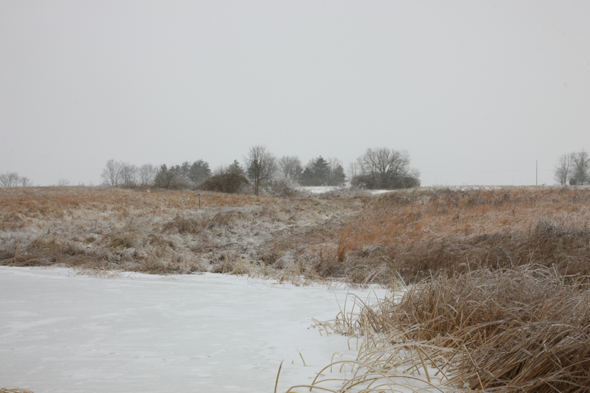 Full Size Image = 3802 K