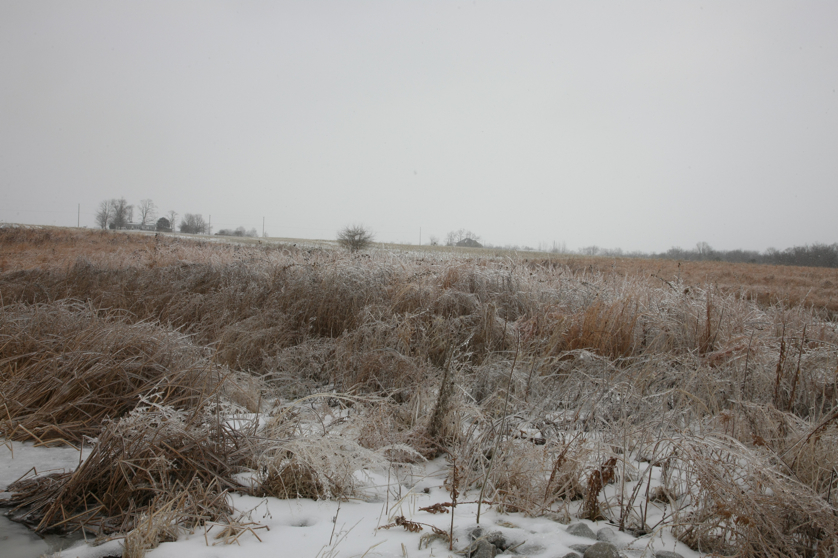 Full Size Image = 4467 K