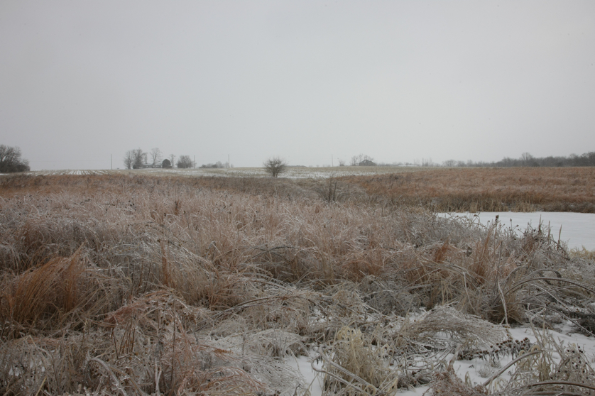 Full Size Image = 4442 K