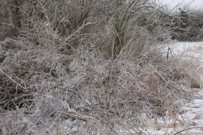 Full Size Image = 6725 K