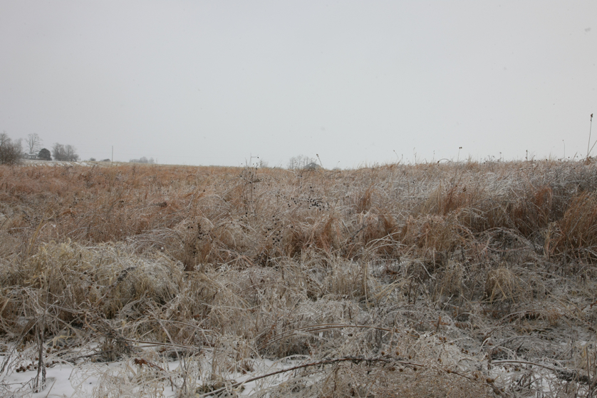 Full Size Image = 4891 K