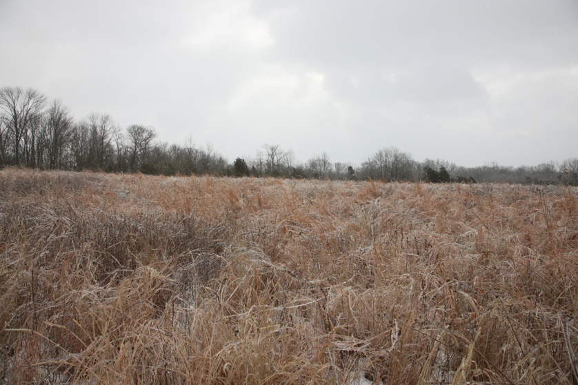 Full Size Image = 5167 K