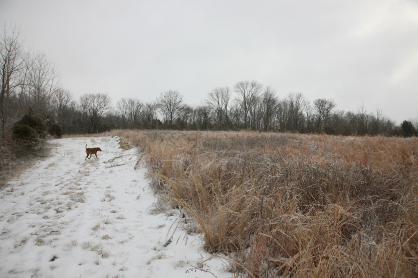 Full Size Image = 4399 K