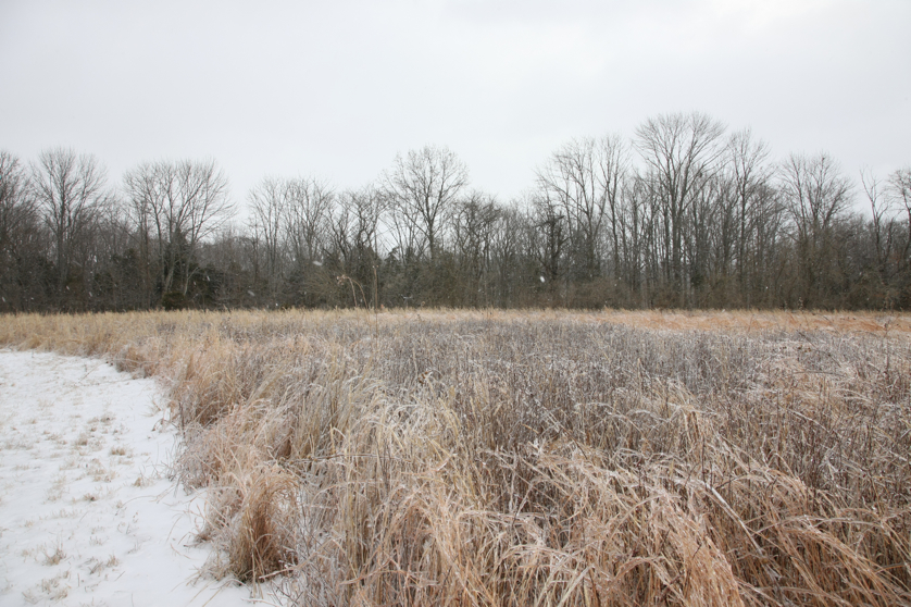 Full Size Image = 5710 K