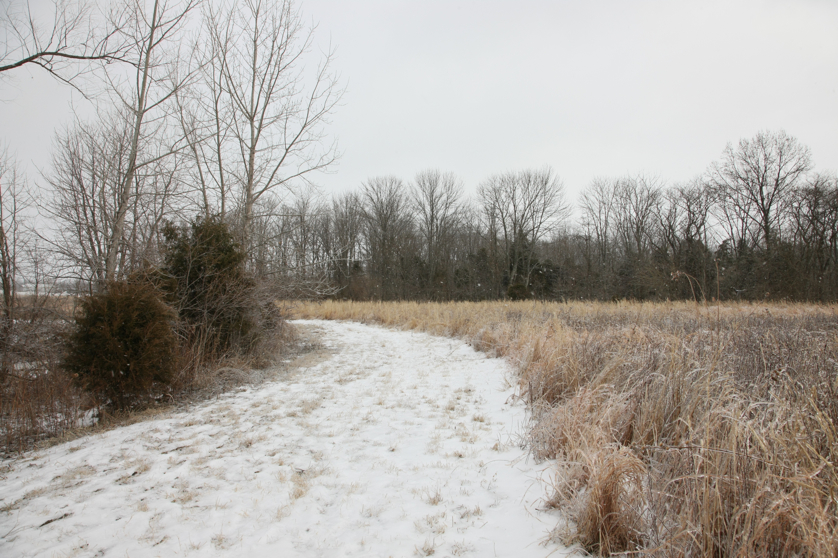 Full Size Image = 5432 K