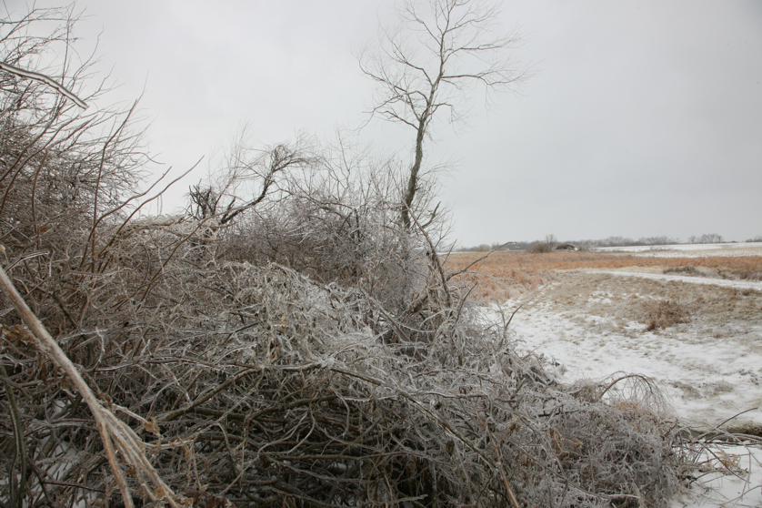 Full Size Image = 5198 K