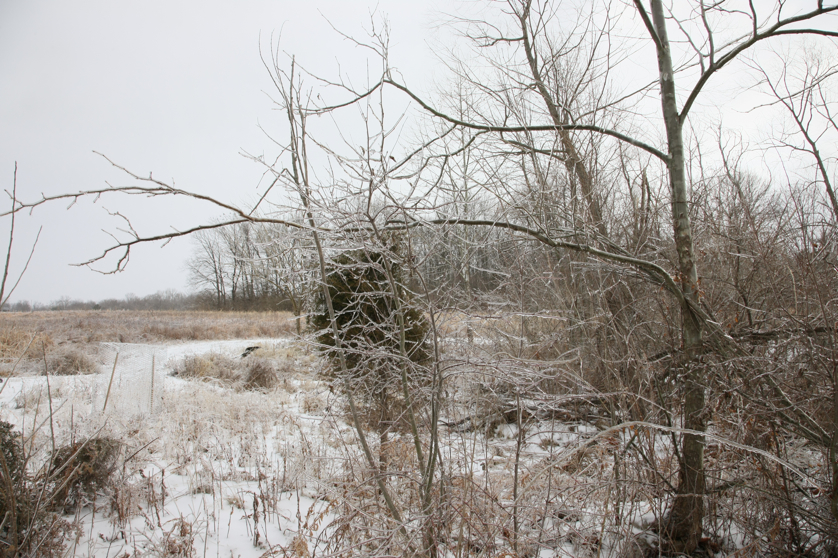 Full Size Image = 5965 K