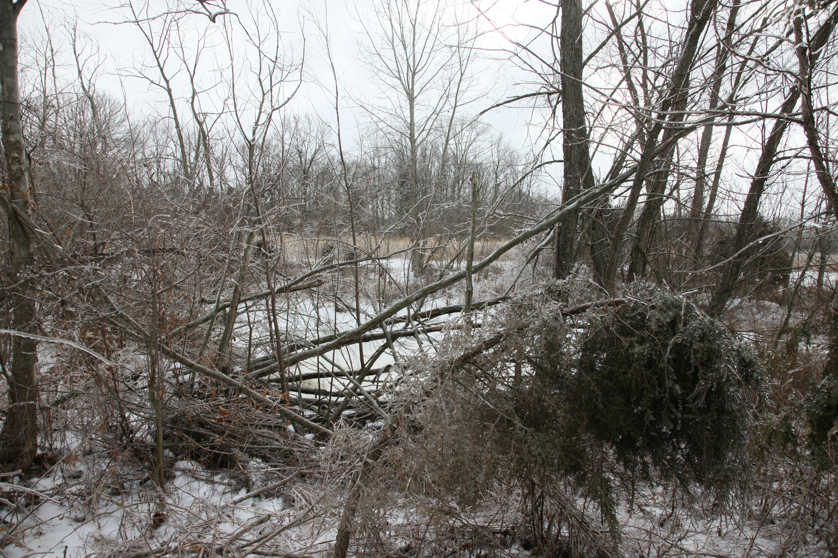 Full Size Image = 6938 K