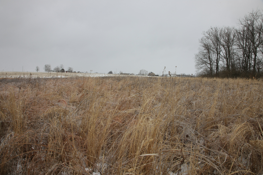 Full Size Image = 5038 K