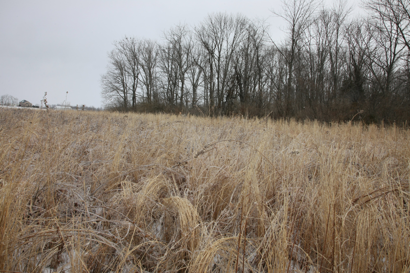 Full Size Image = 6436 K