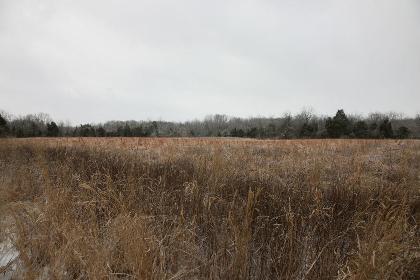 Full Size Image = 4492 K