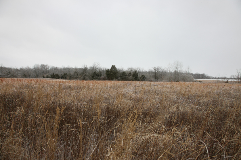 Full Size Image = 4757 K