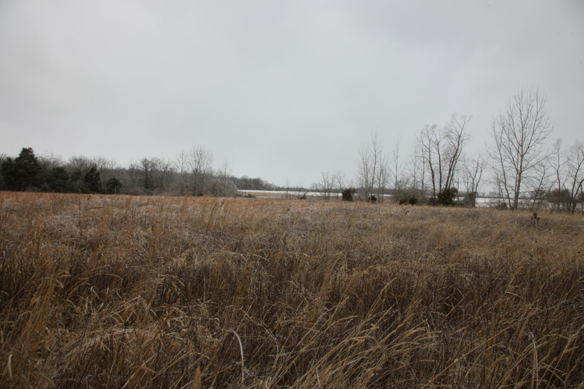 Full Size Image = 4664 K