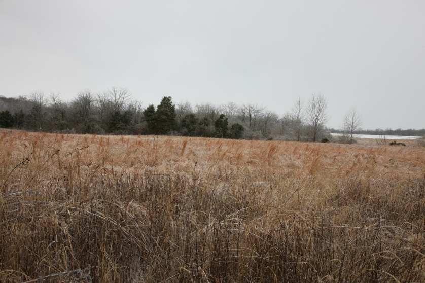 Full Size Image = 4912 K