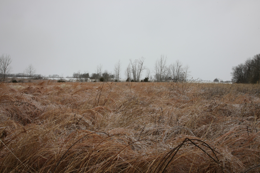 Full Size Image = 4676 K