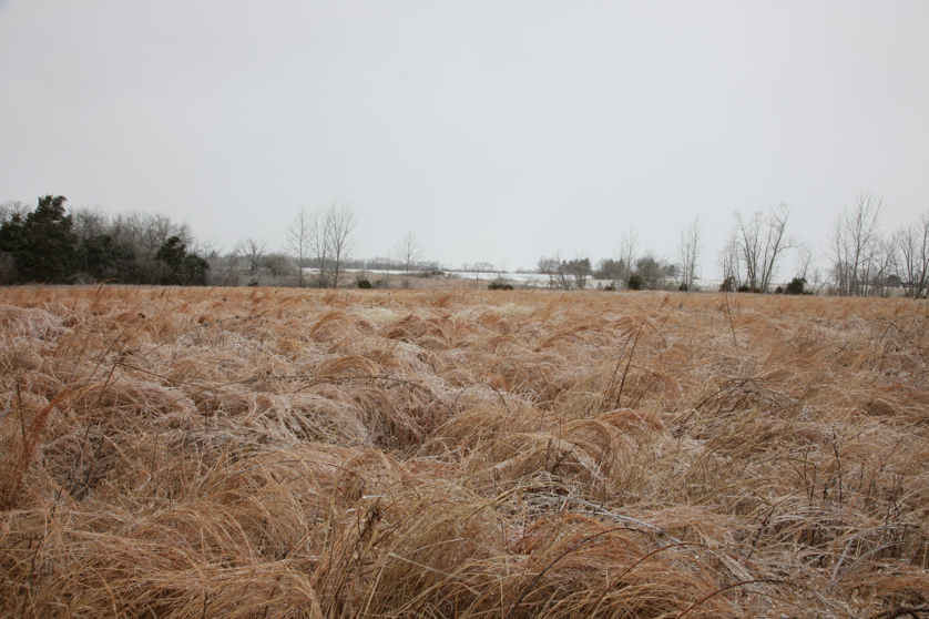 Full Size Image = 4969 K