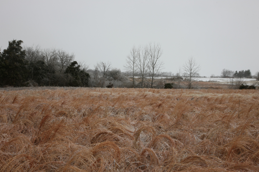 Full Size Image = 4751 K