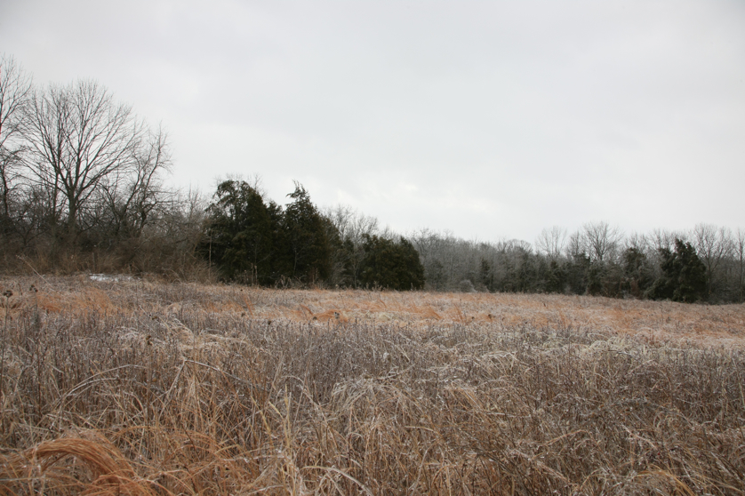 Full Size Image = 5006 K