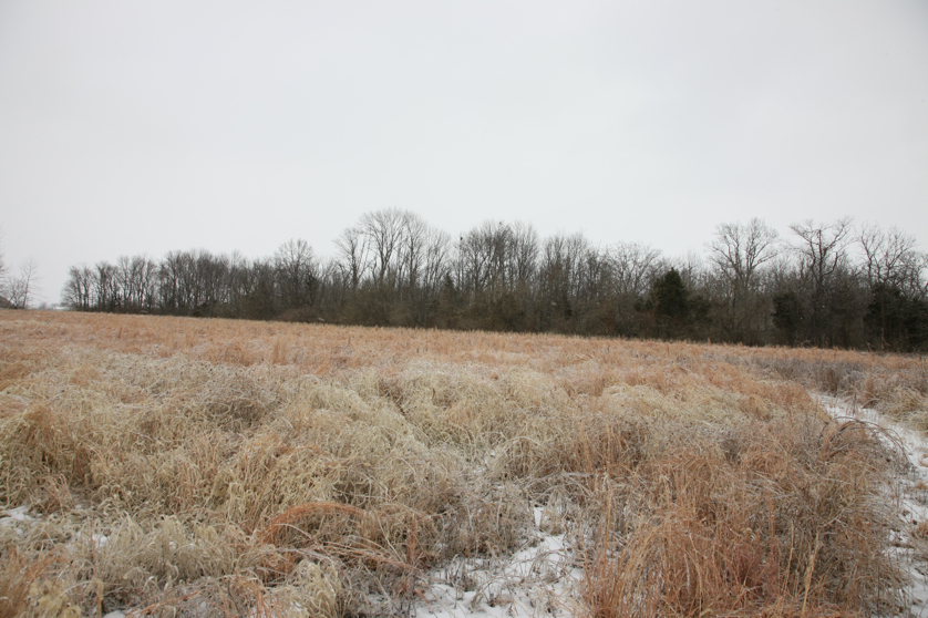 Full Size Image = 4731 K