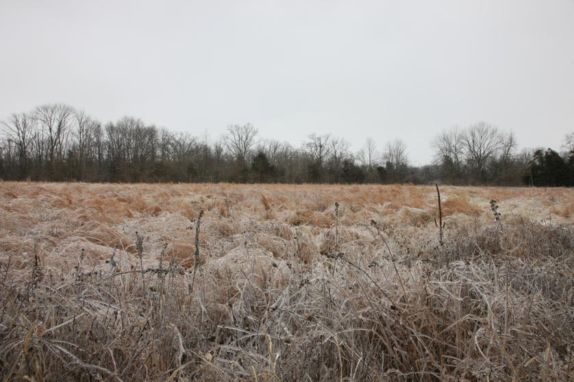 Full Size Image = 5037 K