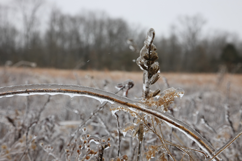 Full Size Image = 3040 K