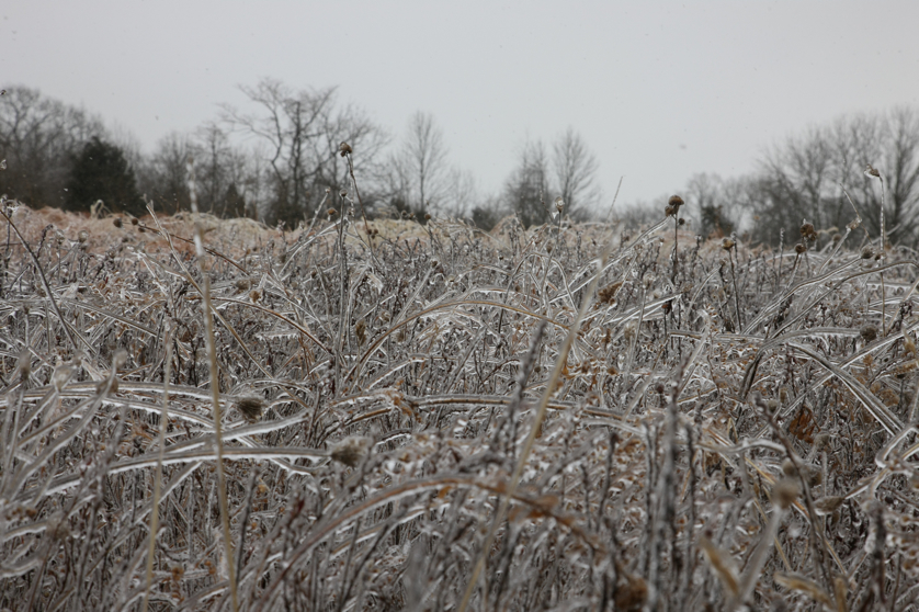 Full Size Image = 4284 K