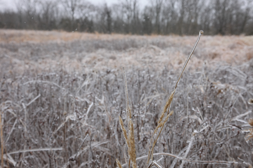 Full Size Image = 3064 K