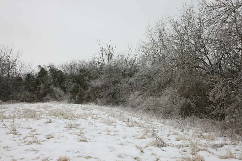 Full Size Image = 5060 K