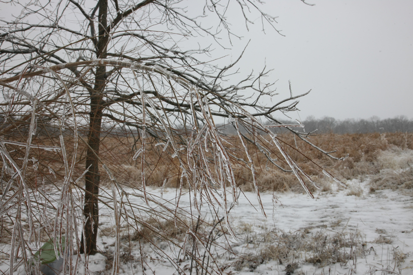 Full Size Image = 4314 K