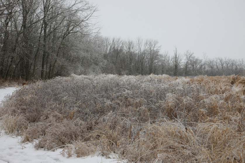 Full Size Image = 5849 K