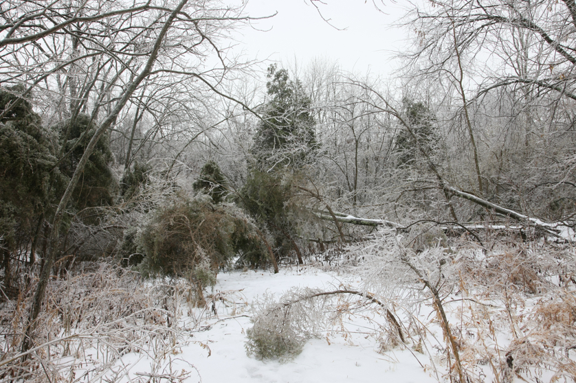 Full Size Image = 6939 K