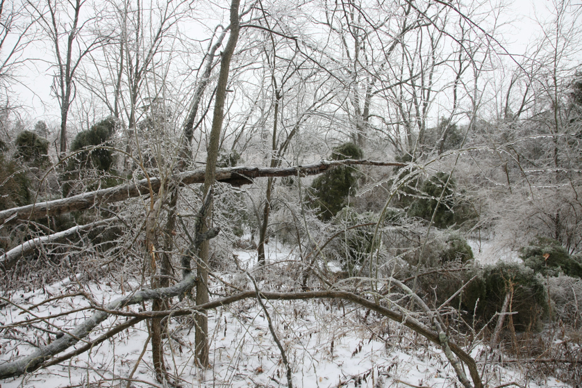 Full Size Image = 7126 K