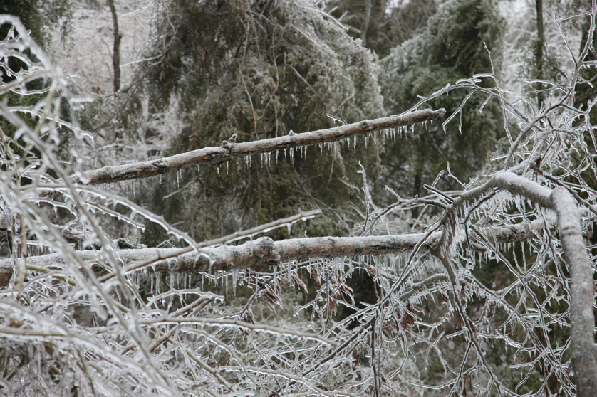 Full Size Image = 4944 K