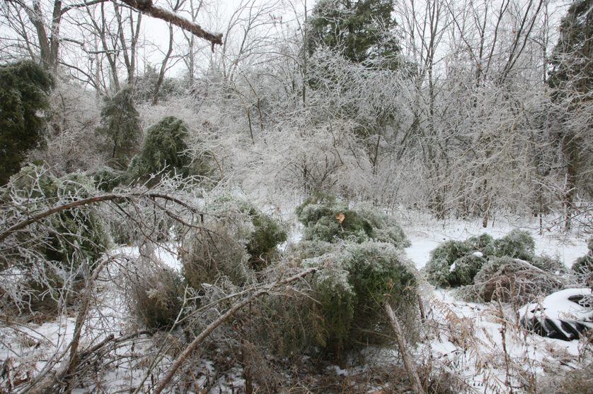 Full Size Image = 6791 K