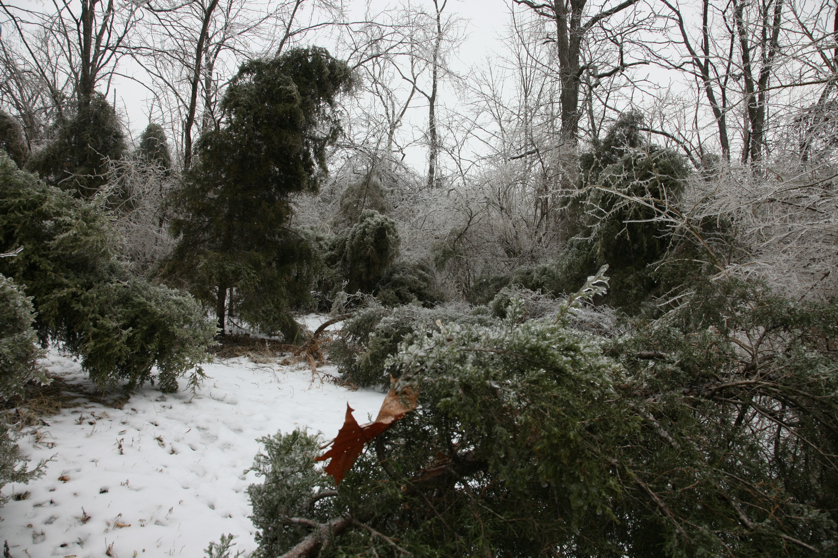 Full Size Image = 5958 K