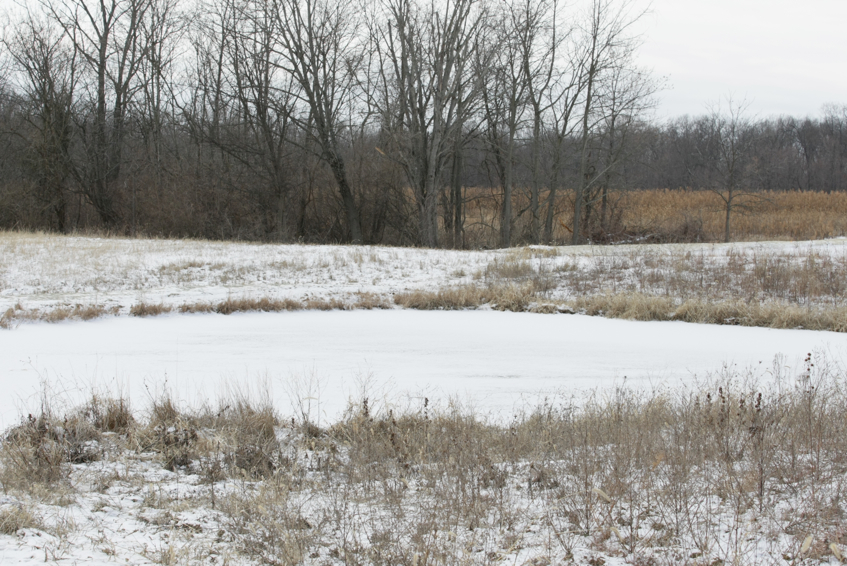 Full Size Image = 3438 K