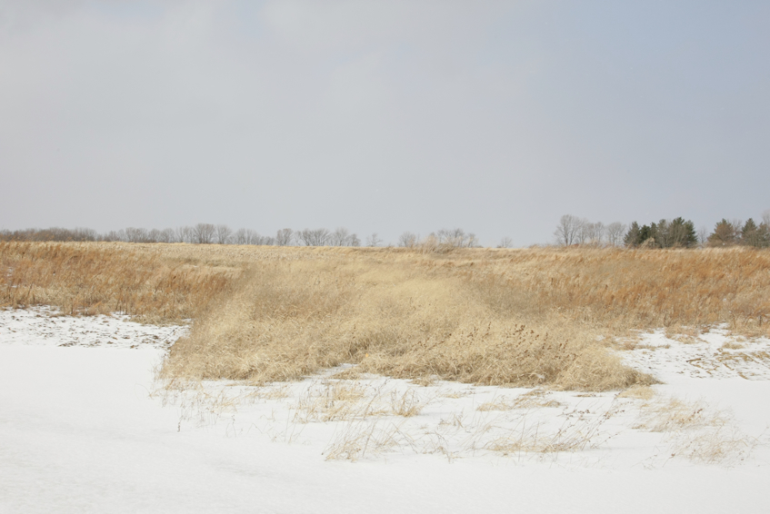 Full Size Image = 2011 K