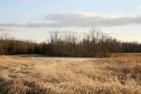 Full Size Image = 1922 K