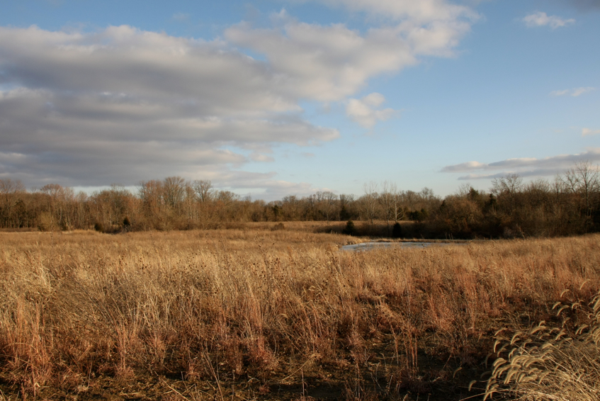 Full Size Image = 3208 K