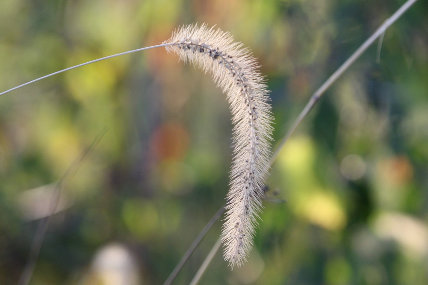 Full Size Image = 415 K