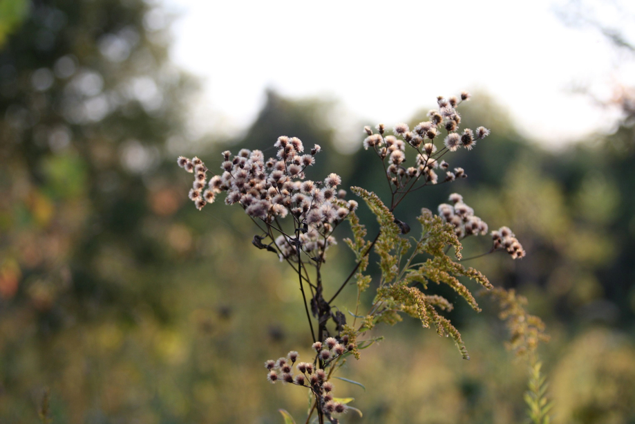 Full Size Image = 401 K