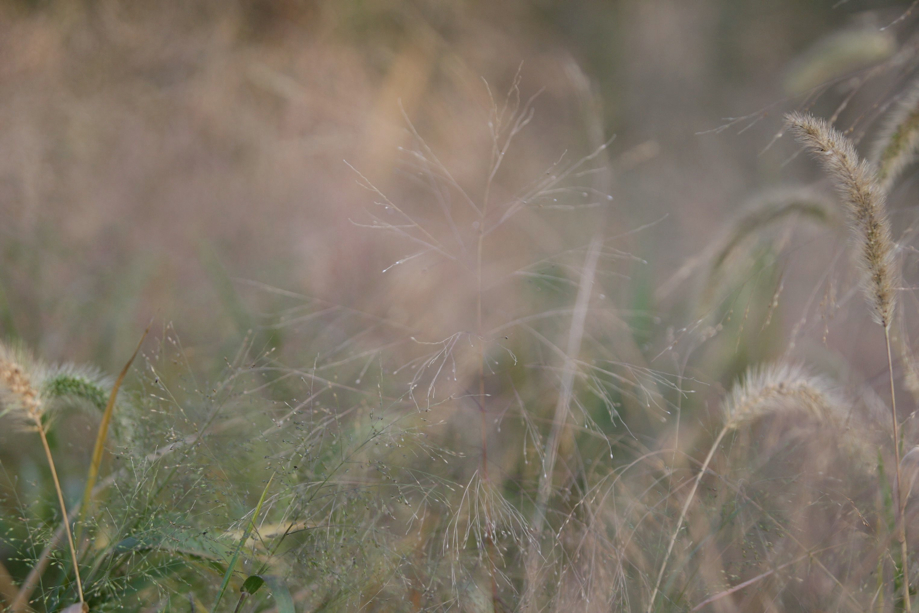 Full Size Image = 411 K